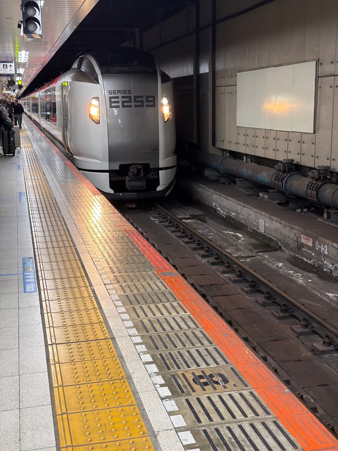 Narita Express 東京駅→第2ターミナル